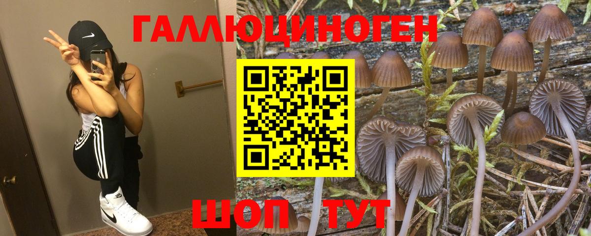 Галлюциногенные грибы прущие грибы Улан-Удэ